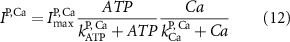 Equation (12)