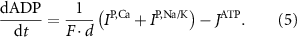 Equation (5)