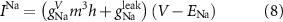 Equation (8)