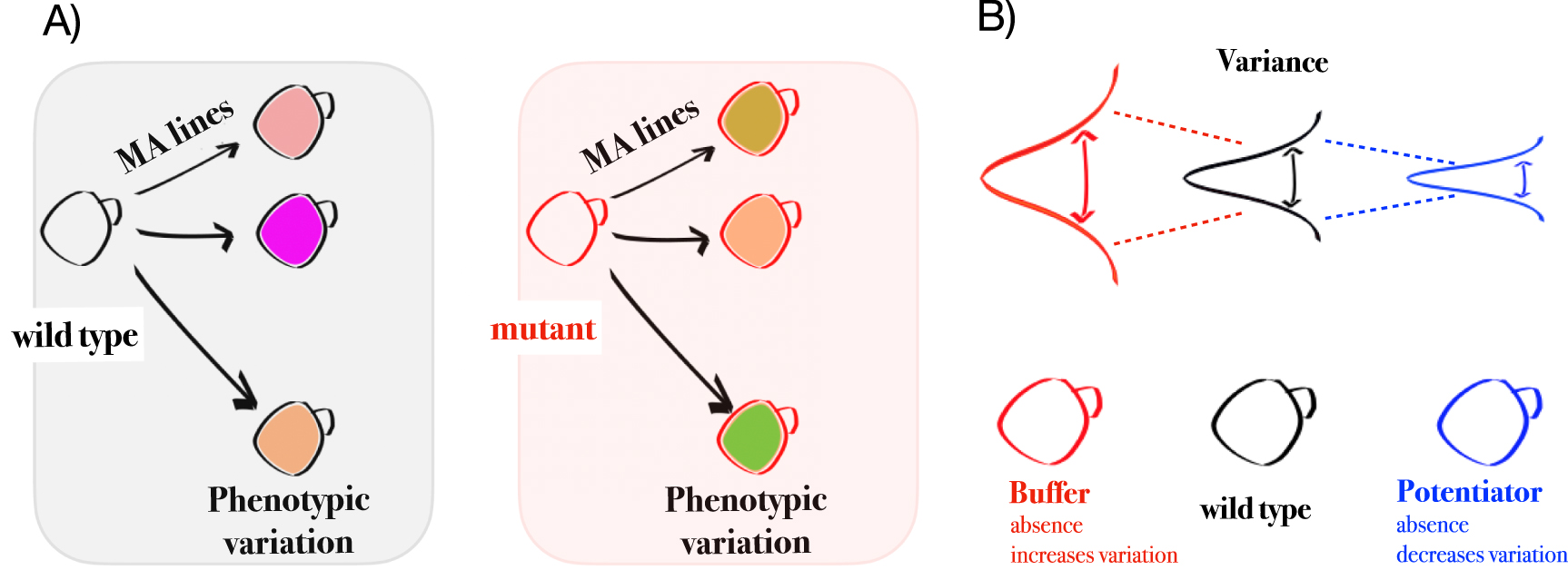 Design principles of multi-map variation in biological systems - IOPscience