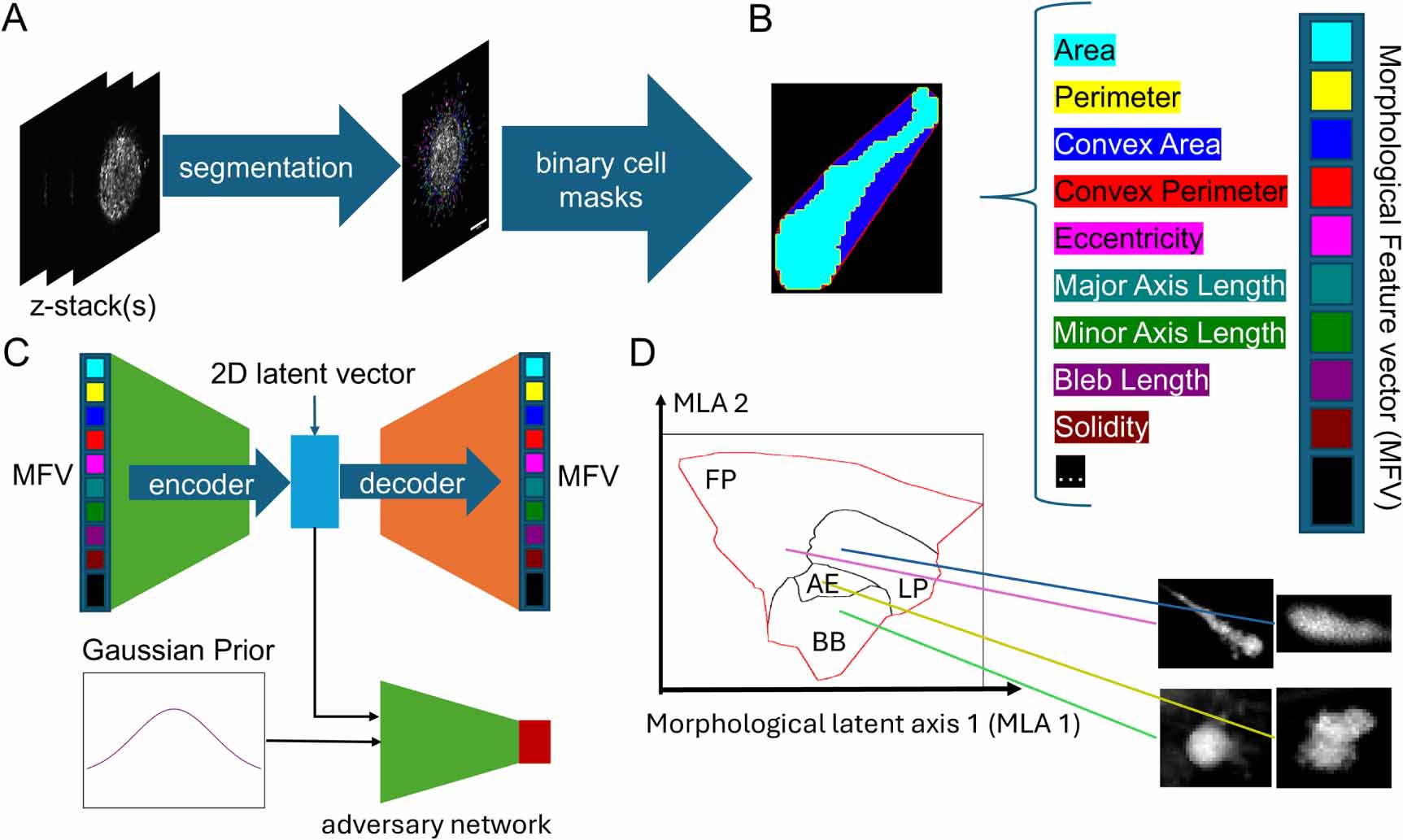 Representation of high-dimensional cell morphology and morphodynamics ...