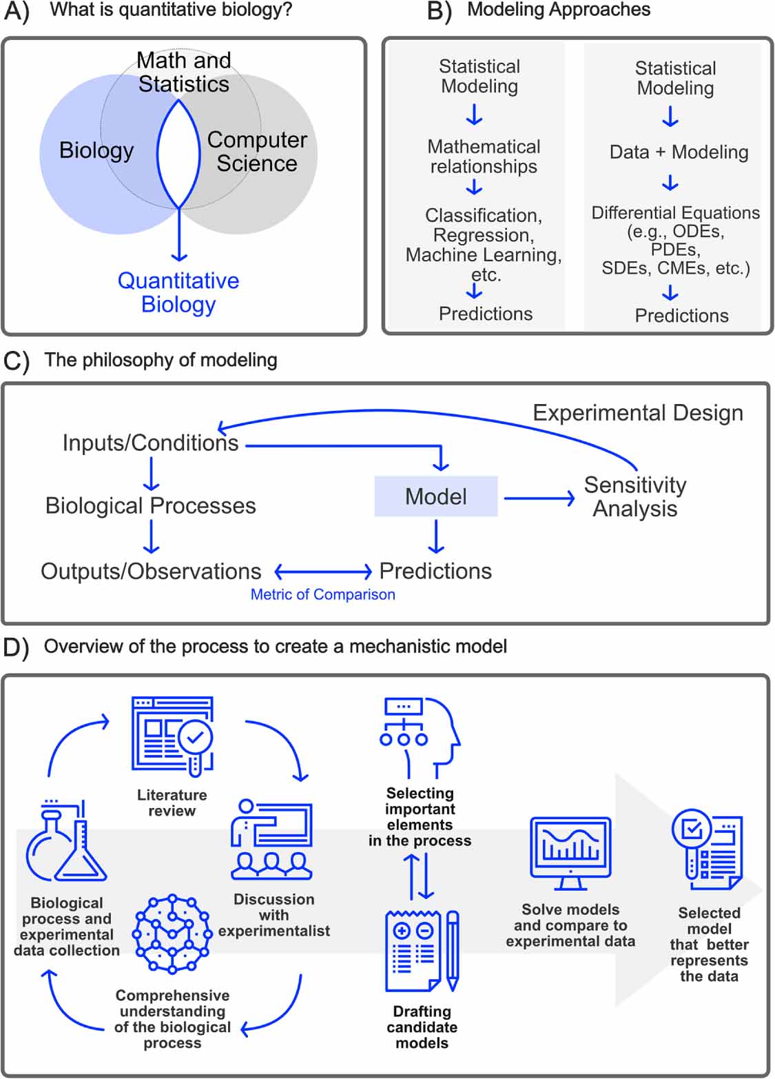 Quant Biological Methods Methods in quantitative biology—from analysis of single-cell microscopy ...