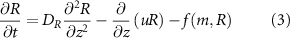 Equation (3)