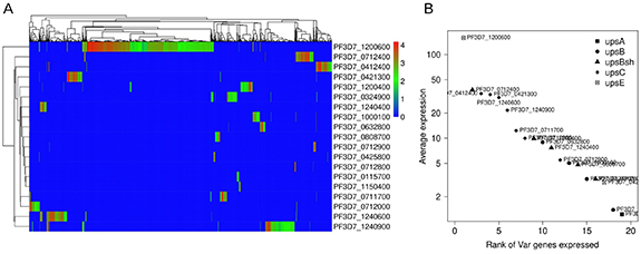 Hierarchical switching pattern in antigenic variation provides survival ...