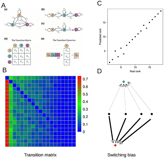 Hierarchical switching pattern in antigenic variation provides survival ...