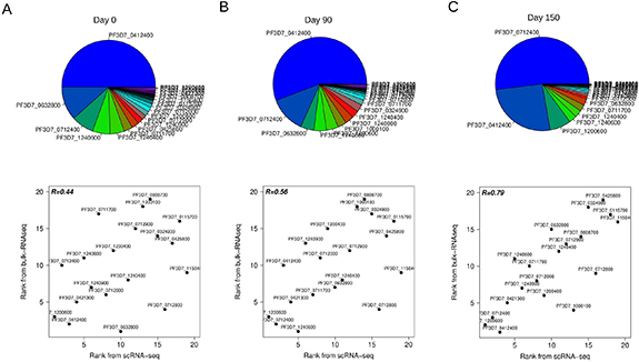 Hierarchical switching pattern in antigenic variation provides survival ...