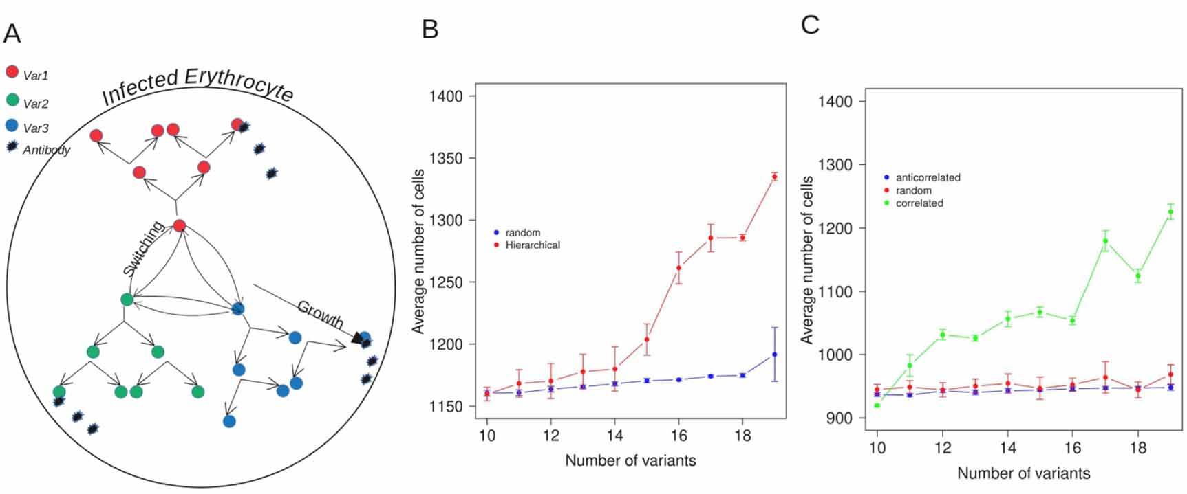 Hierarchical switching pattern in antigenic variation provides survival ...