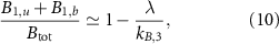 Equation (10)