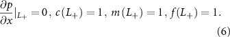 Equation (6)