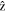 $\hat{{\rm{z}}}$