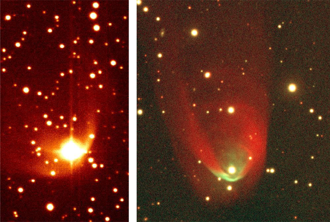 Figure 2. Refer to the following caption and surrounding text.