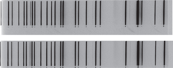 Spectral Image Classification with Deep Learning - IOPscience