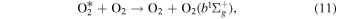Equation (11)