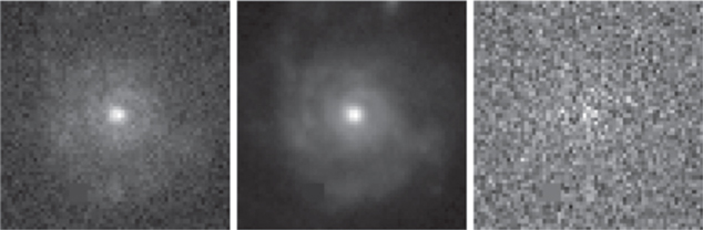 Figure 4. Refer to the following caption and surrounding text.