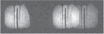 Figure 53. Refer to the following caption and surrounding text.