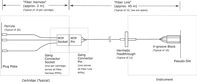Figure 5. Refer to the following caption and surrounding text.