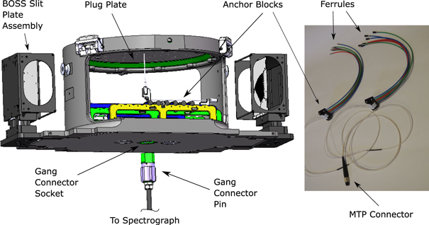 Figure 6. Refer to the following caption and surrounding text.