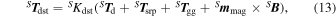 Equation (13)