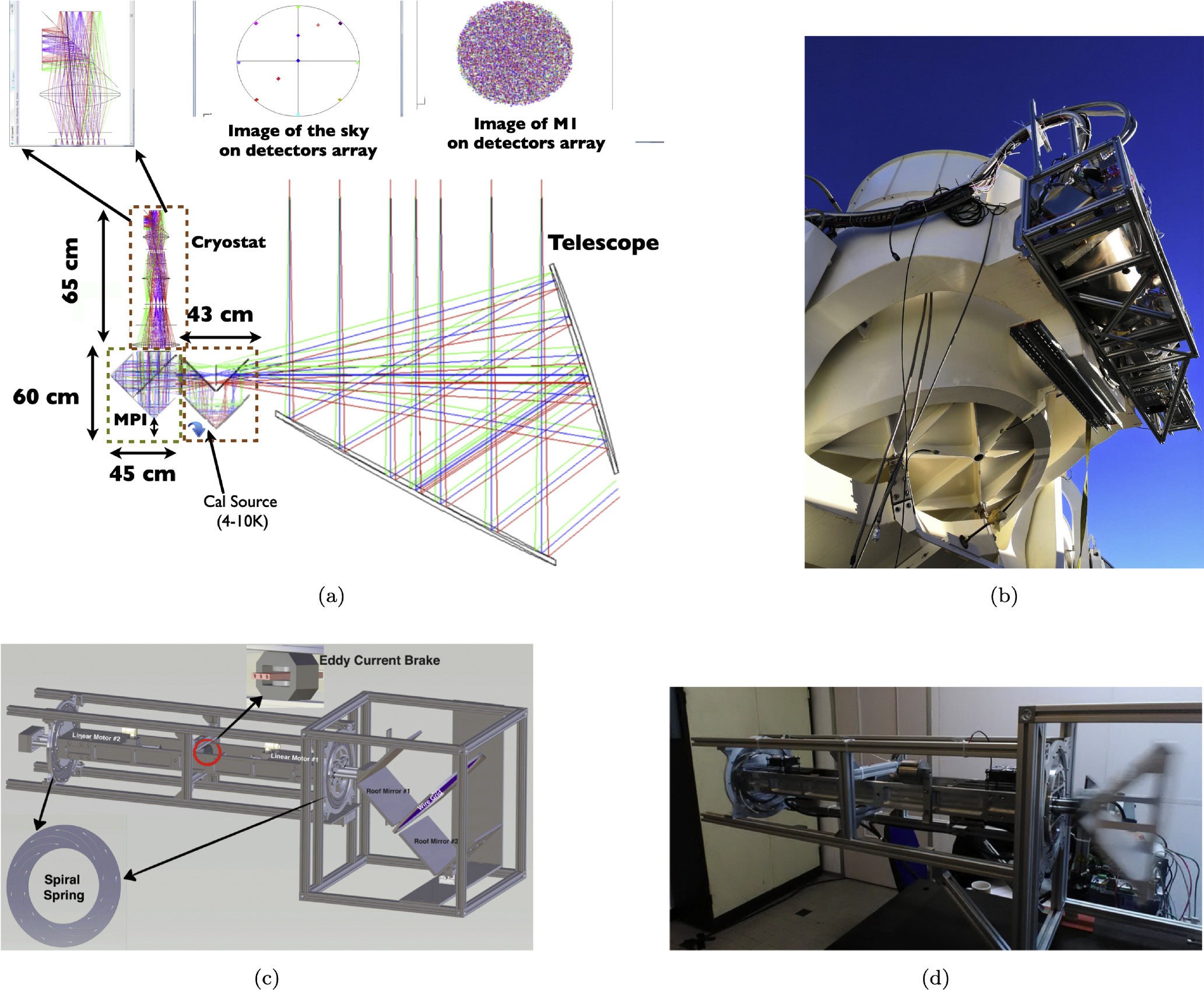 Figure 1. Refer to the following caption and surrounding text.