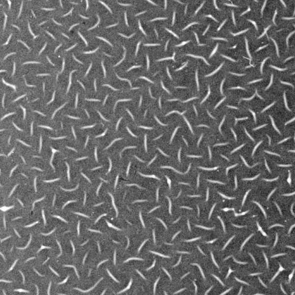 Figure 13. Refer to the following caption and surrounding text.