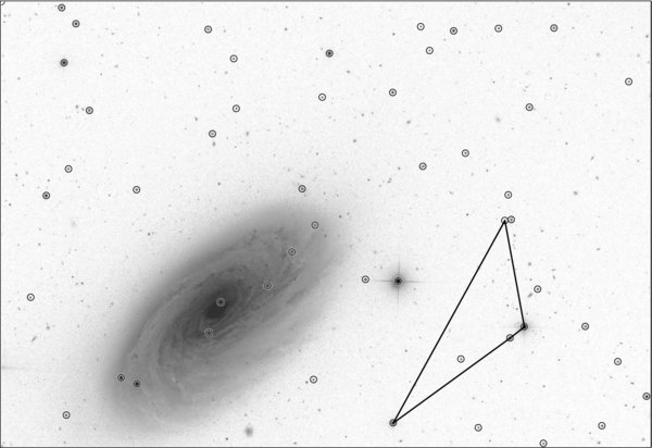 Figure 5. Refer to the following caption and surrounding text.