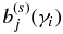 $b_{j}^{(s)}(\gamma _{i})$