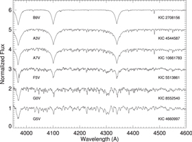 Figure 1. Refer to the following caption and surrounding text.
