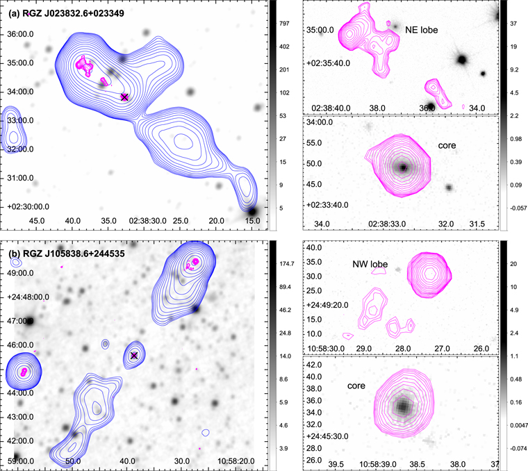 Figure 1. Refer to the following caption and surrounding text.