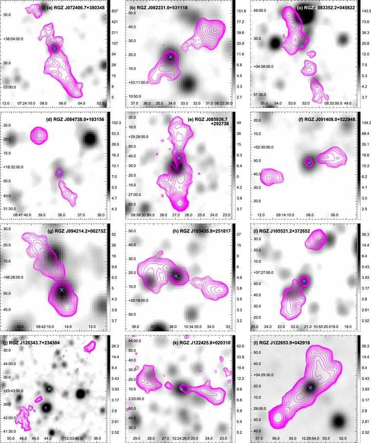 Figure 2. Refer to the following caption and surrounding text.