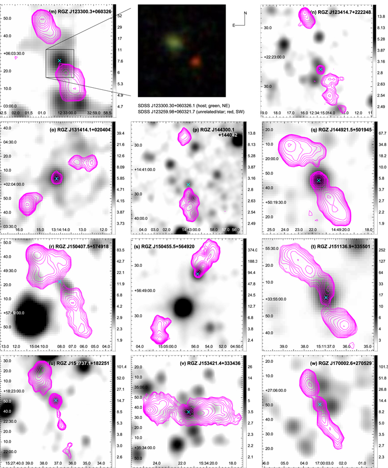 Figure 2. Refer to the following caption and surrounding text.