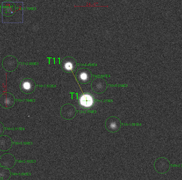 Figure 7. Refer to the following caption and surrounding text.