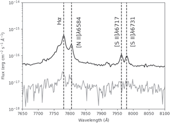 Figure 2. Refer to the following caption and surrounding text.
