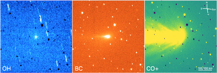 Figure 6. Refer to the following caption and surrounding text.