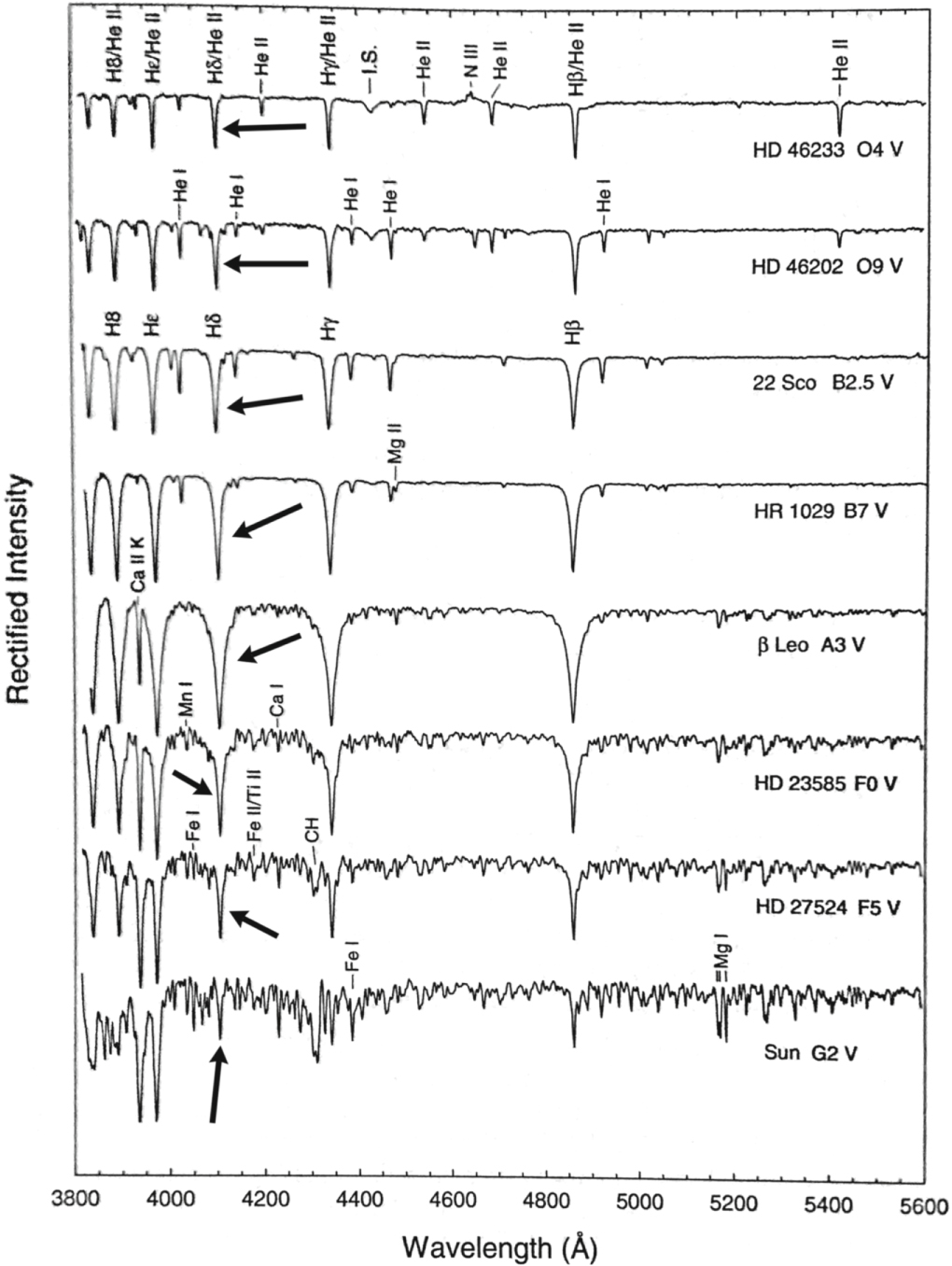 Mk System Automated Morgan Keenan Classification of Observed Stellar Spectra ...