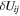 $\delta {U}_{{ij}}$