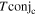 $T{\mathrm{conj}}_{{\rm{c}}}$