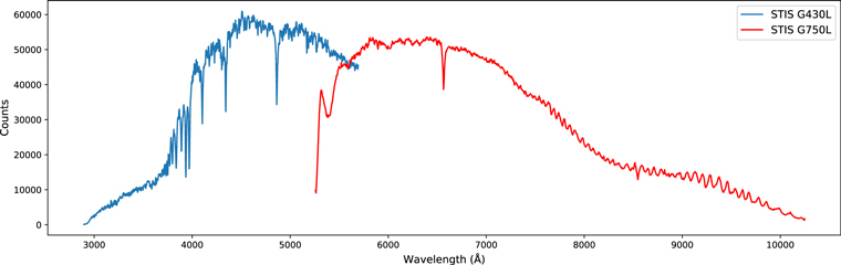 Figure 1. Refer to the following caption and surrounding text.