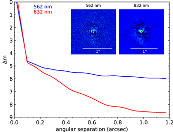 Figure 3. Refer to the following caption and surrounding text.