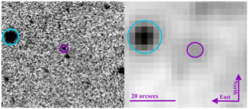 Figure 2. Refer to the following caption and surrounding text.