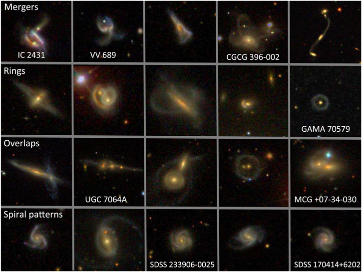 Figure 3. Refer to the following caption and surrounding text.