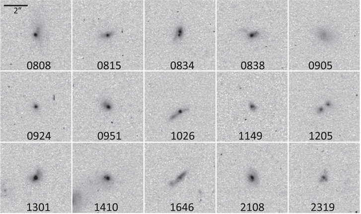 Figure 4. Refer to the following caption and surrounding text.