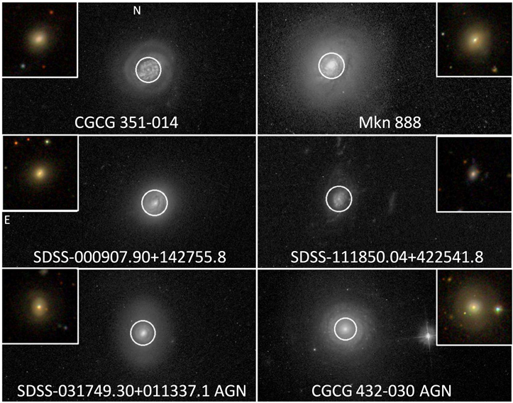 Figure 5. Refer to the following caption and surrounding text.