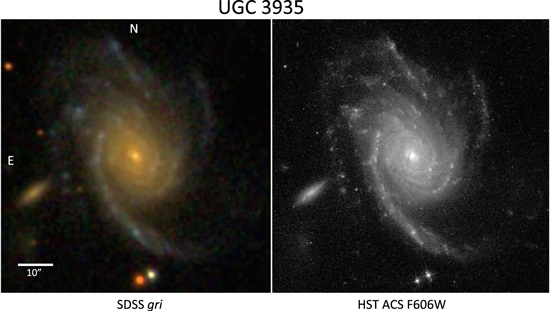 Figure 6. Refer to the following caption and surrounding text.