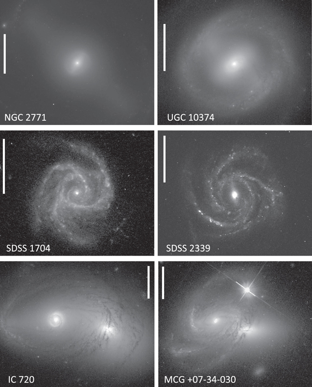 Figure 7. Refer to the following caption and surrounding text.