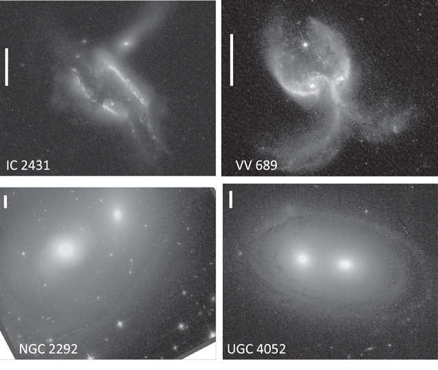 Figure 9. Refer to the following caption and surrounding text.