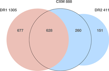 Figure 2. Refer to the following caption and surrounding text.