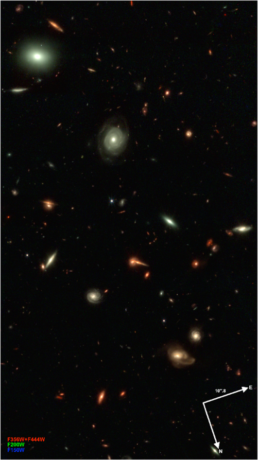 Figure 2. Refer to the following caption and surrounding text.