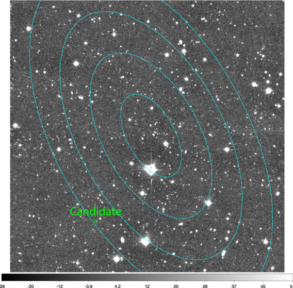 Figure 2. Refer to the following caption and surrounding text.