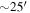 $\sim 25^{\prime} \rm{}\,\rm{}\,$