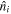 ${\hat{n}}_{i}$